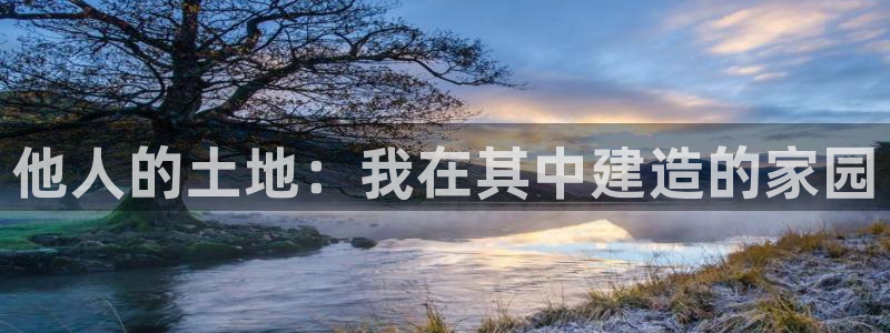 威九国际ppt免费下载