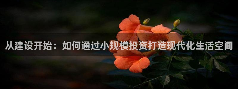 威九国际宣传片