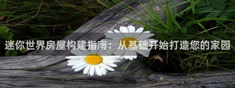 威九国际免费网络站：迷你世界房屋构建指南：从基础开始打造您的家园