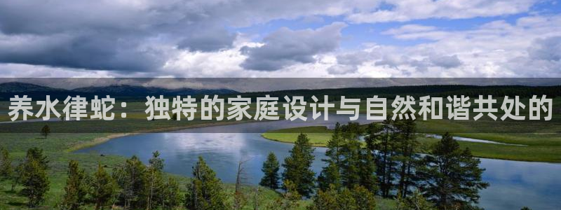 威九国际免费进入：养水律蛇：独特的家庭设计与自然和谐共处的