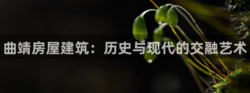 威九国际客服电话号码是多少：曲靖房屋建筑：历史与现代的交融艺术