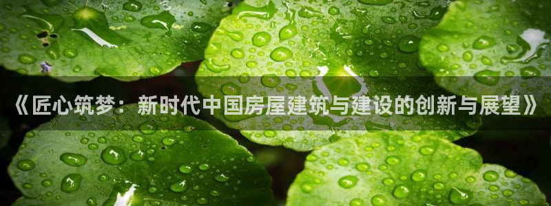 威九国际成长模式怎么样：《匠心筑梦：新时代中国房屋建筑与建设的创新与展望》