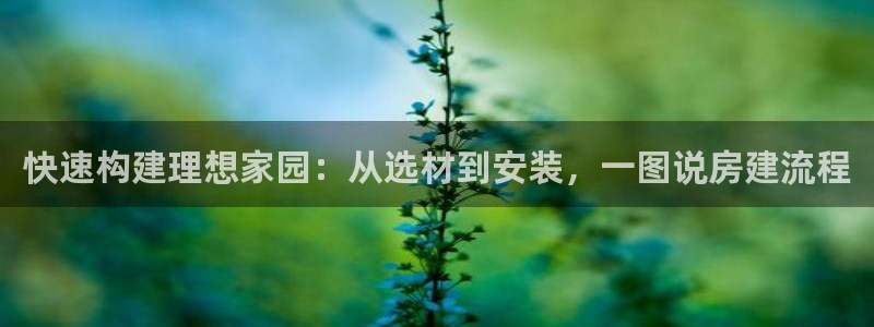 威九国际海域：快速构建理想家园：从选材到安装，一图说房建流程