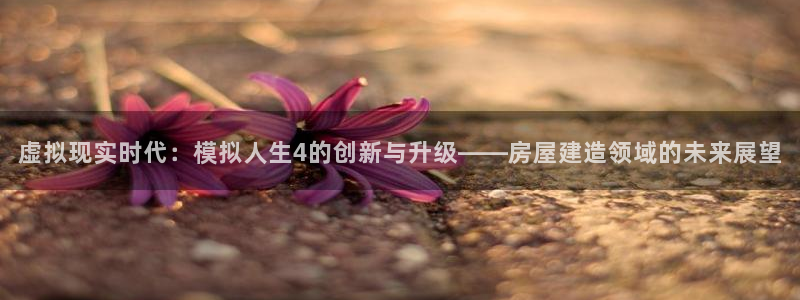 威九国际韩国：虚拟现实时代：模拟人生4的创新与升级——房屋建造领域的未来展望