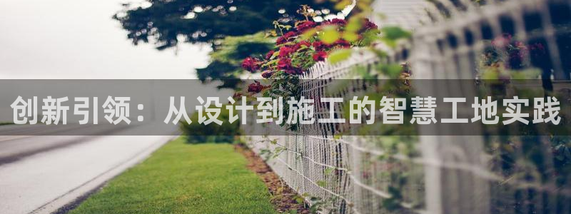 威九国际小广告：创新引领：从设计到施工的智慧工地实践