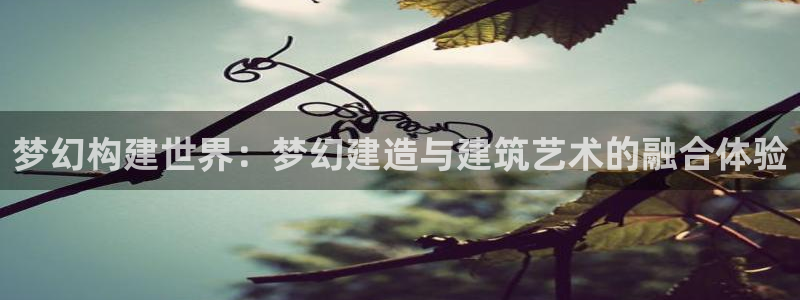 威九国际成长模式怎么样：梦幻构建世界：梦幻建造与建筑艺术的融合体验