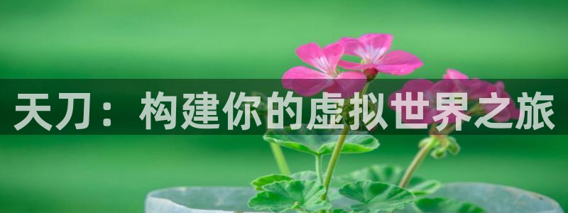 威九国际男演员