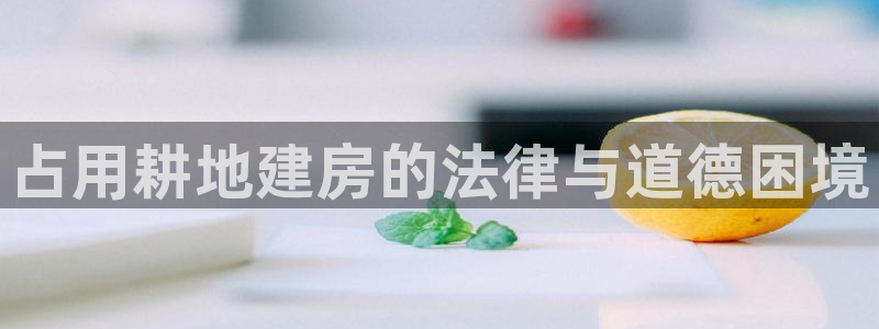威九国际vA9618：占用耕地建房的法律与道德困境