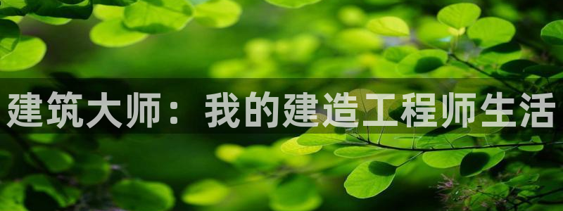 威九国际成长模式怎么样：建筑大师：我的建造工程师生活