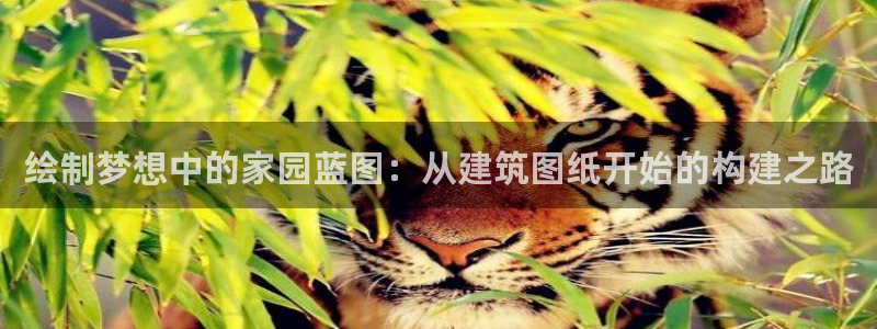 威九国际app网站安全吗：绘制梦想中的家园蓝图：从建筑图纸开始的构建之路