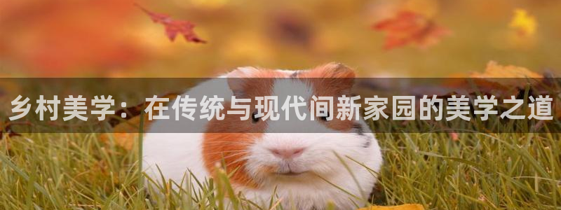 威九国际瘫痪丈夫眼见证：乡村美学：在传统与现代间新家园的美学之道