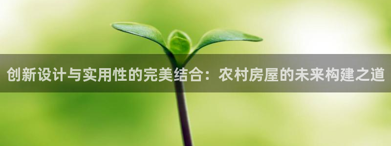 威九国际后爸：创新设计与实用性的完美结合：农村房屋的未来构建之道