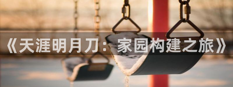 威九国际的金融服务怎么样：《天涯明月刀：家园构建之旅》