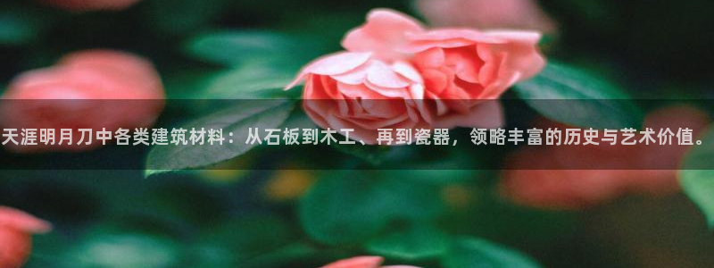 威九国际app无法登陆怎么回事