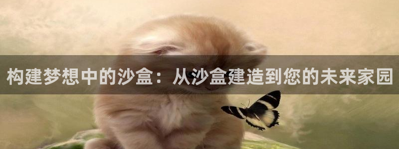 威九国际人民网招聘：构建梦想中的沙盒：从沙盒建造到您的未来家园