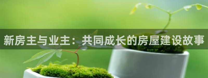 威九国际网站更新了吗：新房主与业主：共同成长的房屋建设故事
