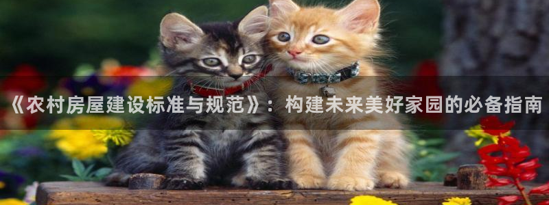 威九国际网站下载：《农村房屋建设标准与规范》：构建未来美好家园的必备指南