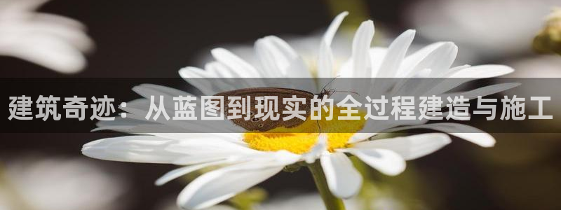 威九国际取款多到账：建筑奇迹：从蓝图到现实的全过程建造与施工