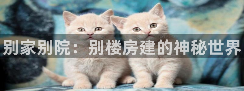 威九国际78mb42- MBA中文：别家别院：别楼房建的神秘世界