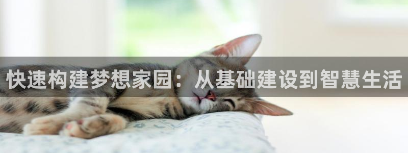 威九国际app网站：快速构建梦想家园：从基础建设到智慧生活