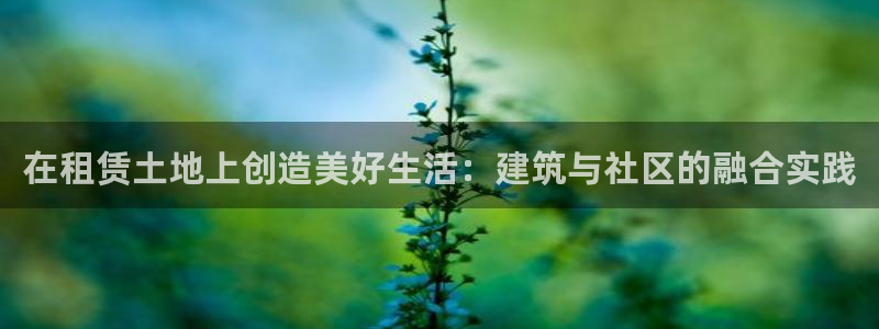 威九国际黑钱：在租赁土地上创造美好生活：建筑与社区的融合实践