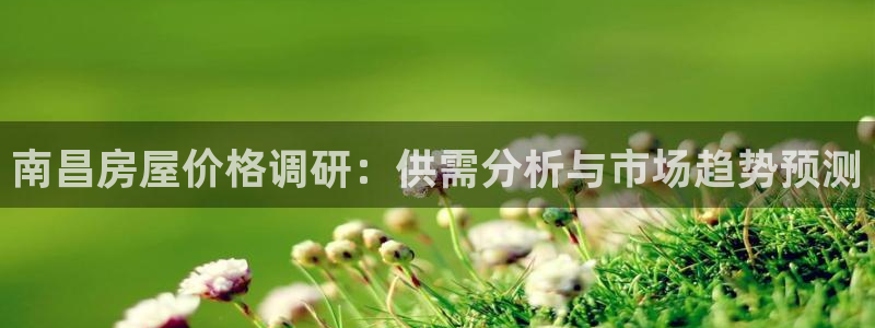 威九国际可以退钱吗怎么退款：南昌房屋价格调研：供需分析与市场趋势预测