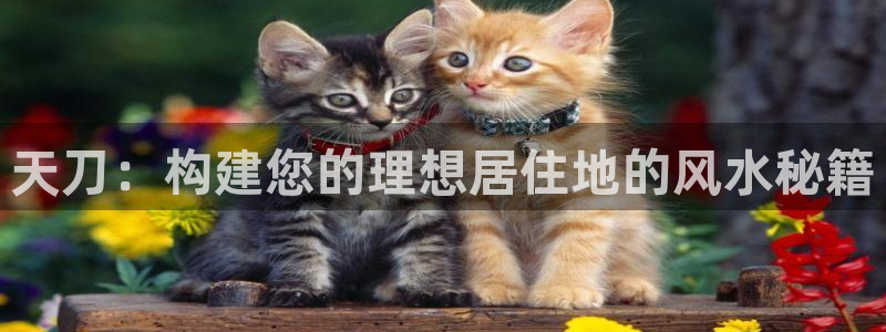 威九国际取款不会被骗吧是真的吗：天刀：构建您的理想居住地的风水秘籍