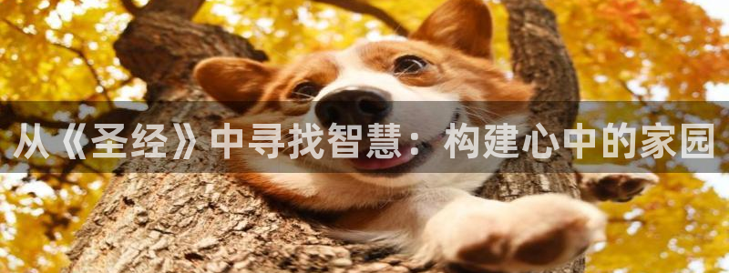 威九国际vA9618：从《圣经》中寻找智慧：构建心中的家园