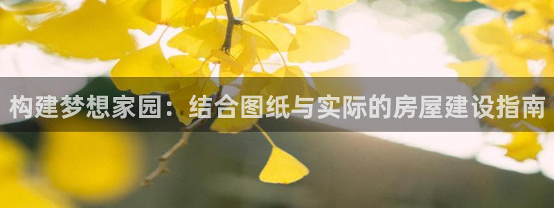 威九国际v96242cc官网版：构建梦想家园：结合图纸与实际的房屋建设指南