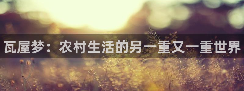 威九国际系列：瓦屋梦：农村生活的另一重又一重世界