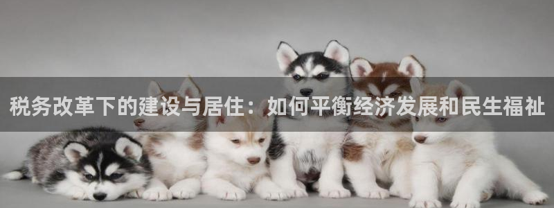 威九国际78mapp：税务改革下的建设与居住：如何平衡经济发展和民生福祉
