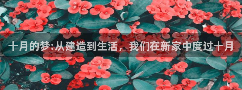 威九国际空降服务女演员叫什么名字：十月的梦:从建造到生活，我们在新家中度过十月