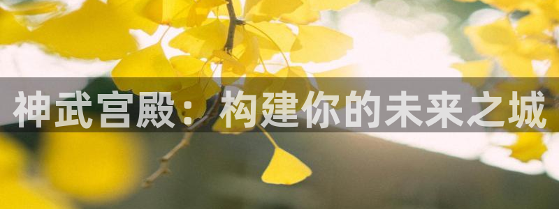 威九国际网站入口官网首页登录：神武宫殿：构建你的未来之城