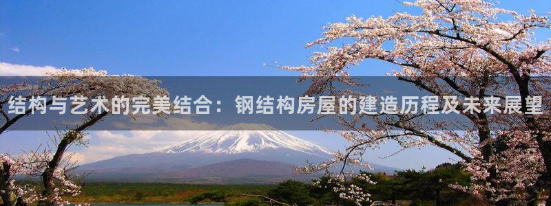 威九国际官网登录入口：结构与艺术的完美结合：钢结构房屋的建造历程及未来展望