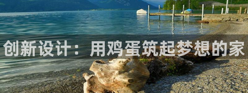 威九国际66m66m：创新设计：用鸡蛋筑起梦想的家