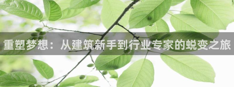 威九国际78mb42- MBA中文：重塑梦想：从建筑新手到行业专家的蜕变之旅