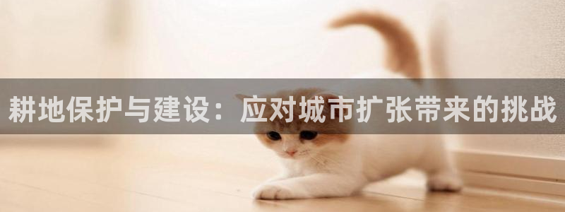 威九国际替好友去：耕地保护与建设：应对城市扩张带来的挑战