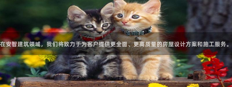 威九国际电子游戏：在安智建筑领域，我们将致力于为客户提供更全面、更高质量的房屋设计方案和施工服务。