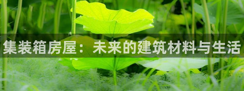 威九国际ft：集装箱房屋：未来的建筑材料与生活