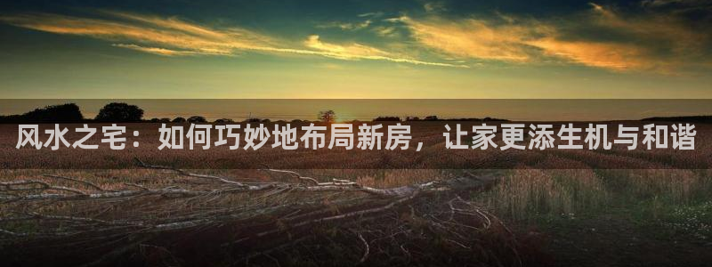 威九国际78mann：风水之宅：如何巧妙地布局新房，让家更添生机与和谐