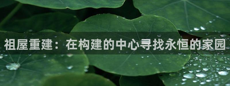 威九国际可以退钱吗怎么退：祖屋重建：在构建的中心寻找永恒的家园