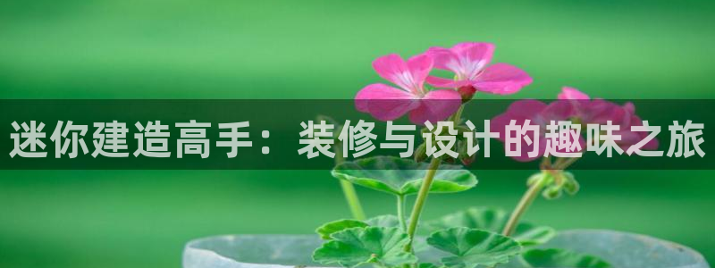 威九国际正规吗：迷你建造高手：装修与设计的趣味之旅