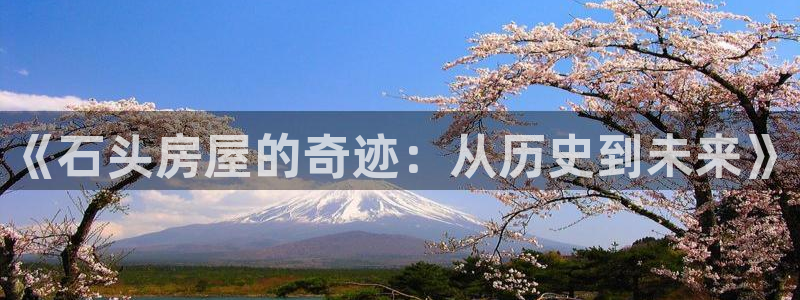 威九国际旗下艺人