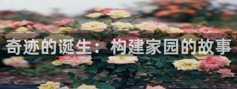 78mapp威九国际成长视频