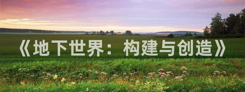 威九国际客服电话是多少：《地下世界：构建与创造》
