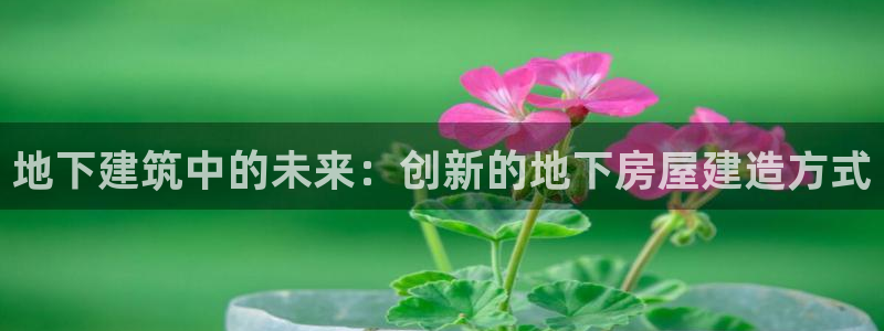 66m威九国际精选：地下建筑中的未来：创新的地下房屋建造方式