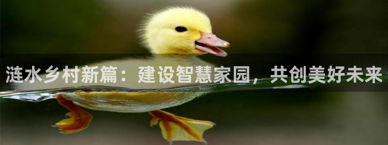 保定威九网络科技有限公司：涟水乡村新篇：建设智慧家园，共创美好未来