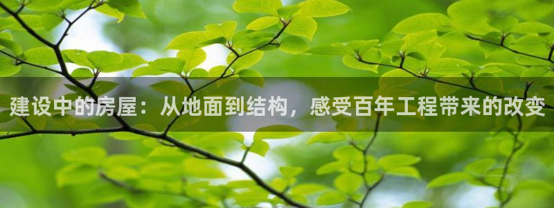 威九国际高清：建设中的房屋：从地面到结构，感受百年工程带来的改变