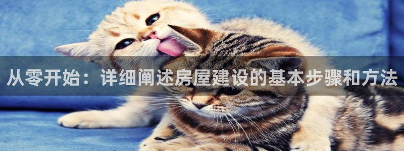 威九国际精选：从零开始：详细阐述房屋建设的基本步骤和方法