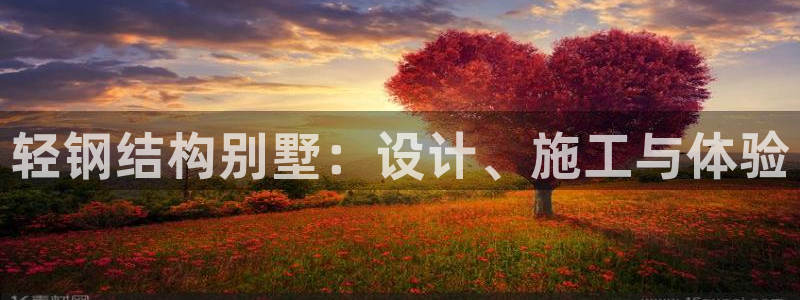 威九国际APP大全：轻钢结构别墅：设计、施工与体验
